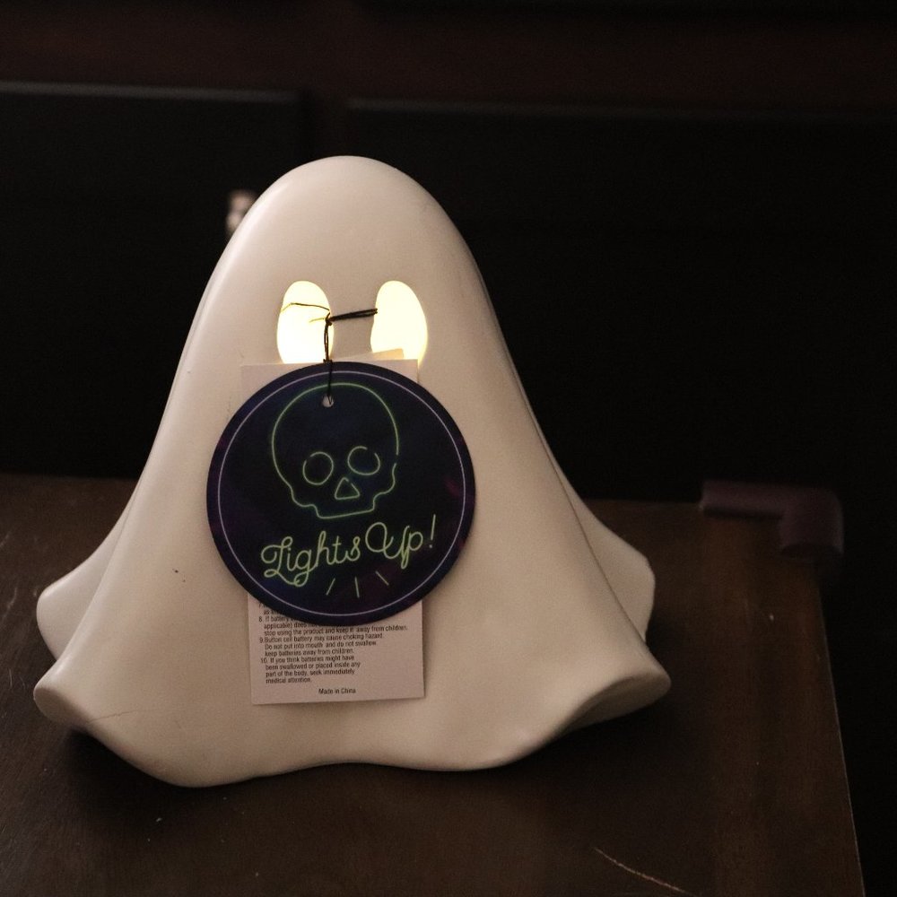 Light Up Ghost Decor